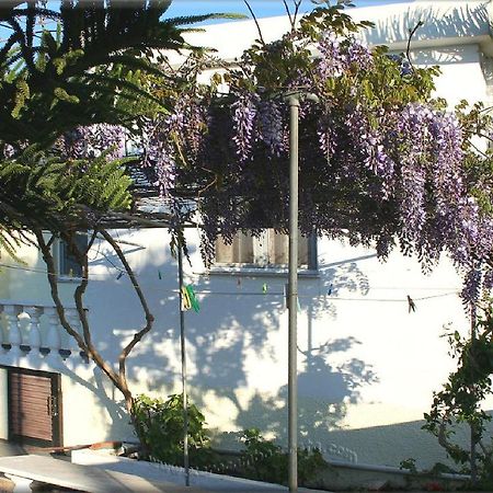 Ampelos Apartment And Studios Ξηρόκαμπος Εξωτερικό φωτογραφία