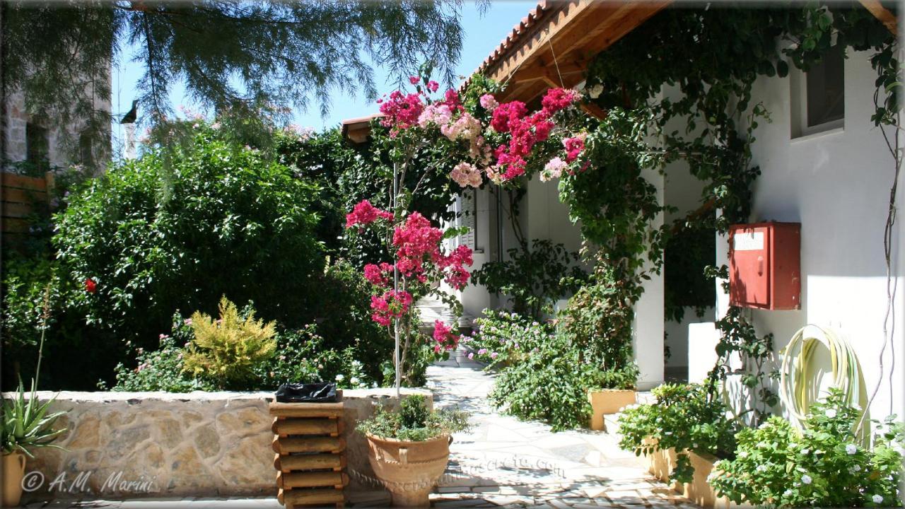 Ampelos Apartment And Studios Ξηρόκαμπος Εξωτερικό φωτογραφία
